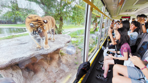 随后, 成果的了解, 结束了一天