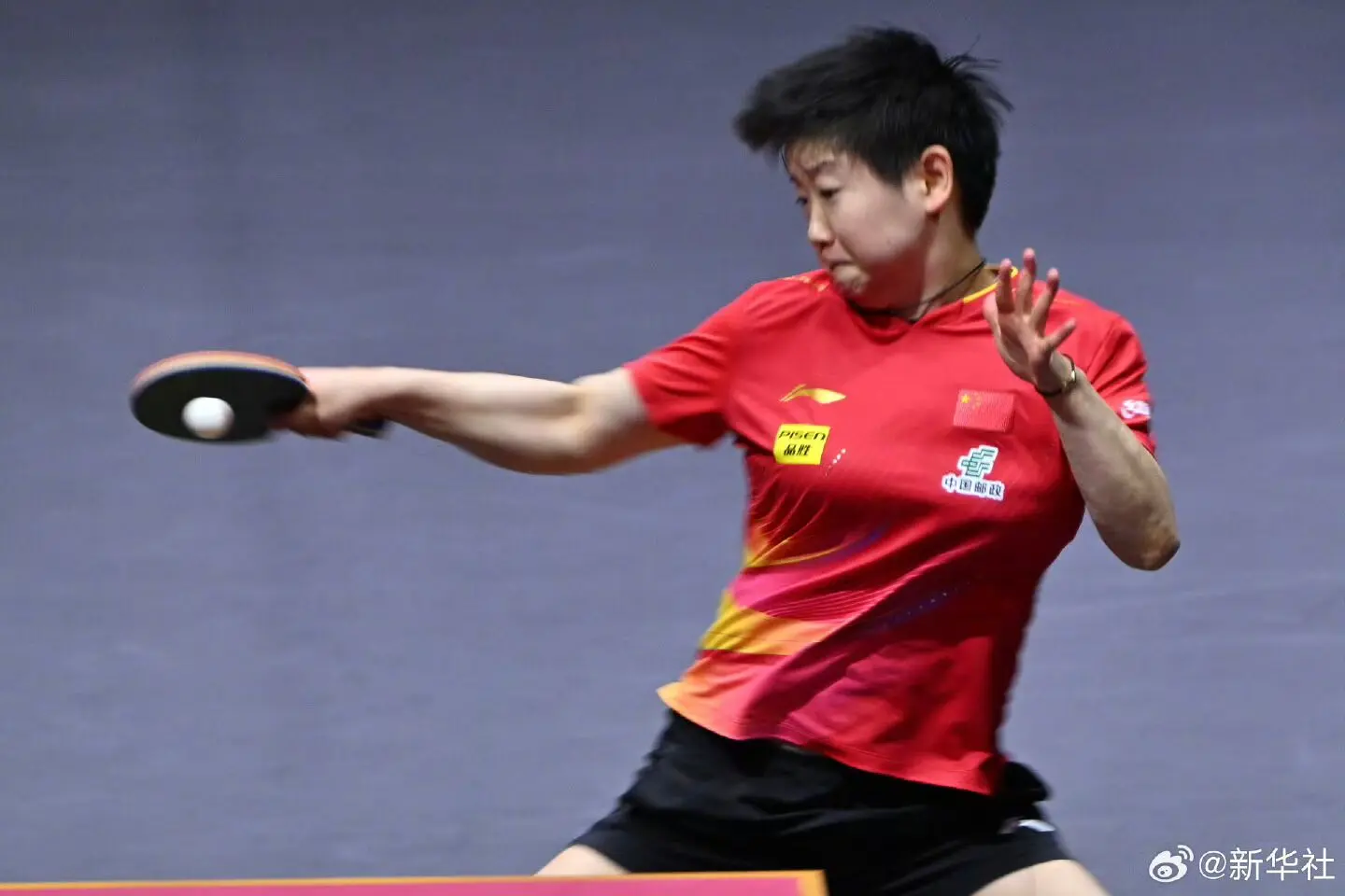 球迷奉献了 球迷奉献了